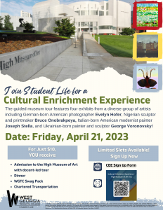Cultural Enrichment Experience Flyer